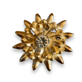 Broche Mandacaru